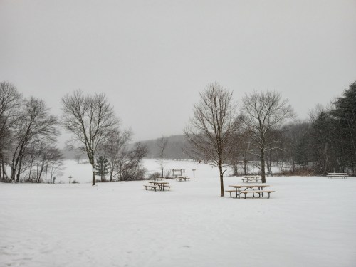 Snow-covered park with bare trees and picnic tables, set against a gray, overcast sky.