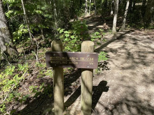 Trail sign for Whistling Arch, indicating trail number 234, surrounded by trees and a dirt path.
