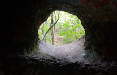 View from inside a cave, framing a bright green forest beyond the opening.