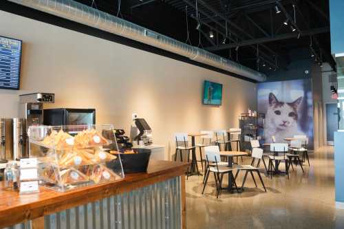 A cozy café interior featuring a display of pastries, tables, and a large cat mural on the wall.