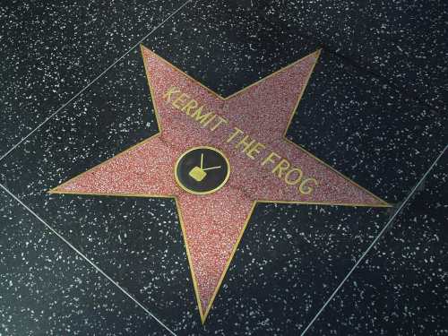Star on the Hollywood Walk of Fame honoring Kermit the Frog, featuring a pink star and a gold emblem.
