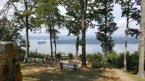 Scenic view of a lake surrounded by trees, with benches for seating in a peaceful outdoor setting.