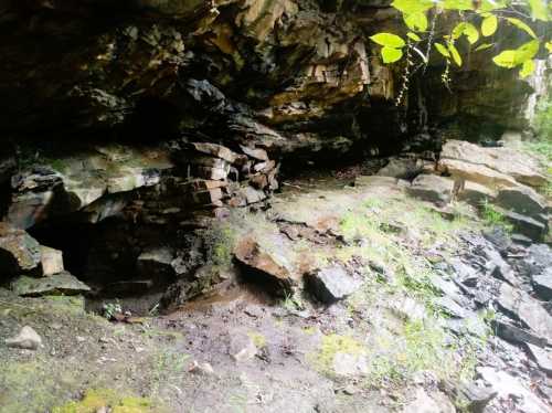 Rocky cave entrance surrounded by greenery and moss, with layered stone formations and a natural, earthy setting.