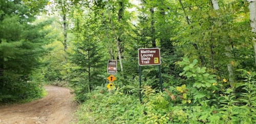 Two signs for the Matthew Lourey State Trail amidst lush green trees along a dirt path.