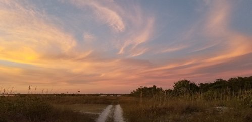 A serene landscape at sunset, featuring a dirt path leading through tall grass under colorful, wispy clouds.