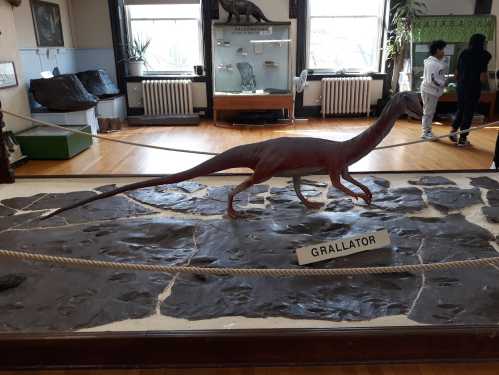 A model of a Grallator dinosaur displayed on a stone surface in a museum, with visitors in the background.