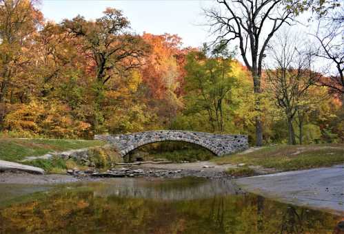 A stone bridge arches over a calm stream, surrounded by vibrant autumn foliage and trees.