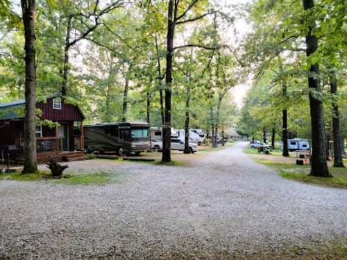 A gravel road lined with RVs and cabins, surrounded by tall trees in a serene camping area.