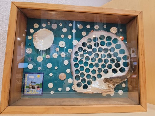 A display case featuring a large shell, buttons, and a small shell against a teal background.