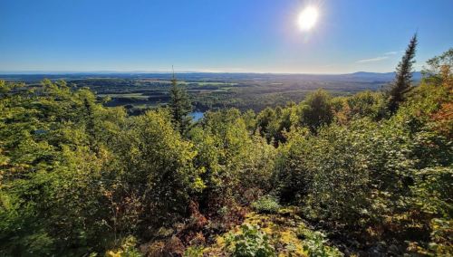 A panoramic view of lush green trees and a river, with a bright sun shining over a clear blue sky.