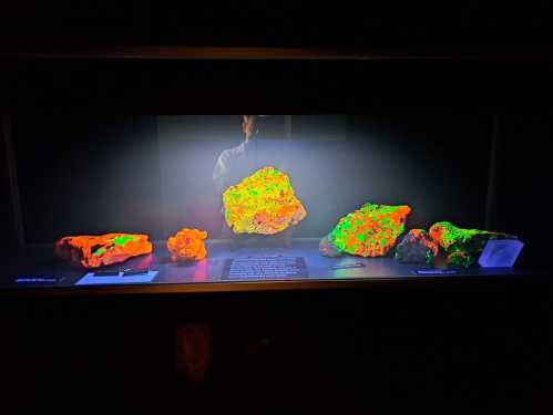 A display of glowing rocks in vibrant colors, illuminated under black light in a dark setting.