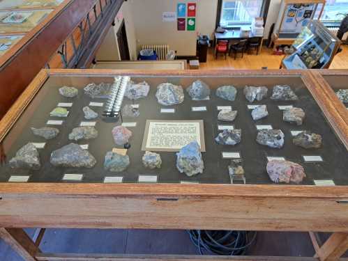 Display case filled with various mineral specimens, labeled and arranged on a black background in a museum setting.