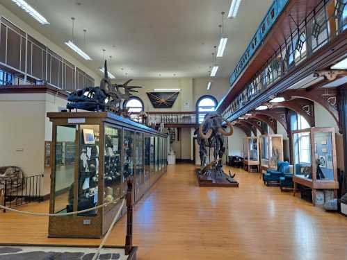 Interior of a museum featuring display cases with fossils, a large skeleton, and wooden architecture.