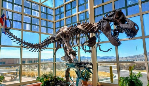 A large dinosaur skeleton, likely a T. rex, displayed in a bright, glass-walled atrium with a scenic view outside.