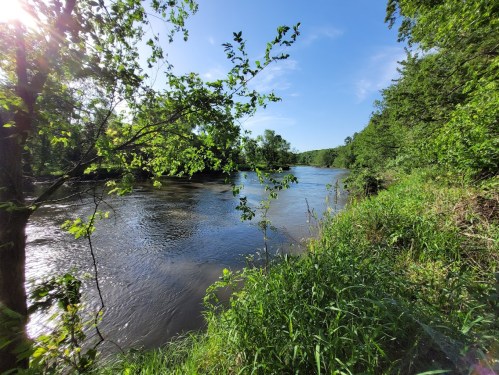 A serene river flows through a lush green landscape under a clear blue sky, framed by trees and grass.