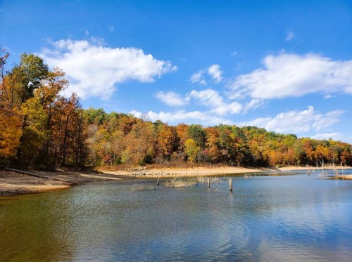 A serene lake surrounded by colorful autumn trees under a bright blue sky with fluffy clouds.