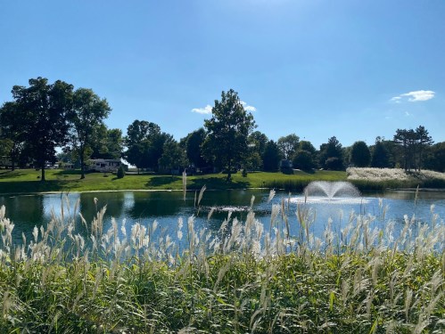 A serene pond surrounded by lush greenery and tall grasses, with a fountain and clear blue sky above.