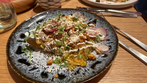 A colorful plate of food featuring a mix of toppings, including radishes, herbs, and a creamy sauce on a textured dish.