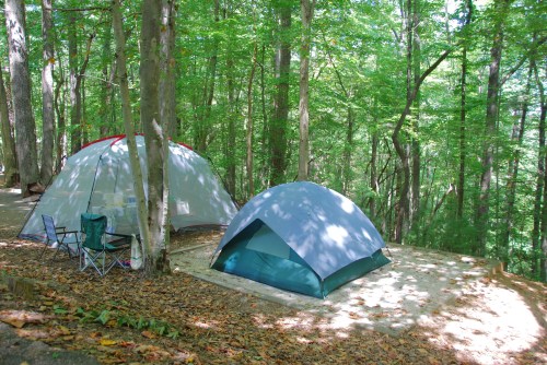 Two tents set up in a lush green forest, surrounded by trees and fallen leaves, with camping chairs nearby.