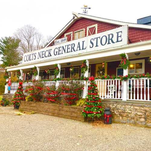 A charming general store with festive decorations, surrounded by greenery and trees, showcasing a welcoming atmosphere.