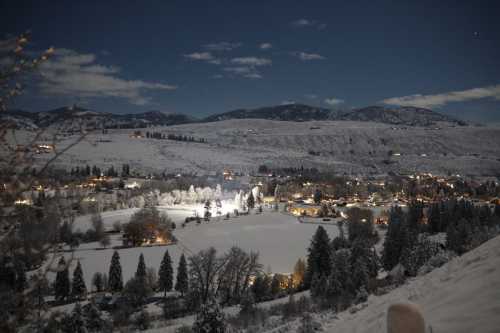 A snowy landscape at night, with illuminated trees and houses against a backdrop of mountains and a starry sky.