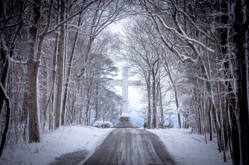A snowy path leads to a large white cross surrounded by bare trees in a winter landscape.