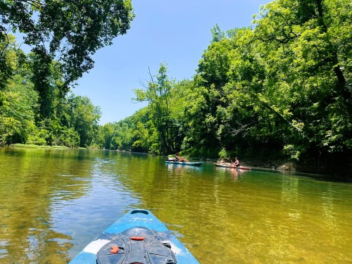 A serene river scene with kayakers paddling through clear water, surrounded by lush green trees under a bright blue sky.