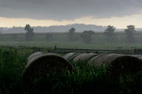 Rain falls heavily on a rural landscape, with hay bales in the foreground and trees in the distance under dark clouds.