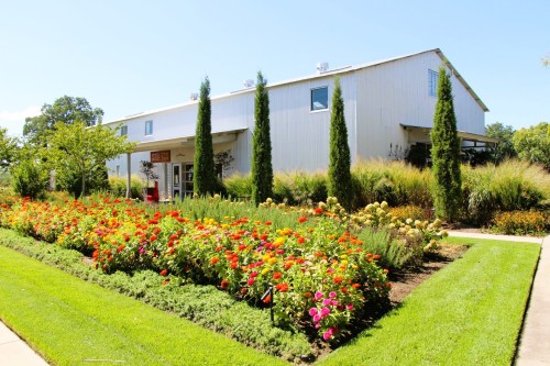 A bright, sunny garden with colorful flowers in front of a modern building surrounded by greenery.