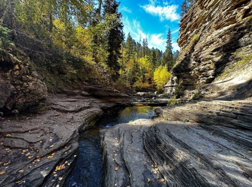 A serene rocky landscape with a clear stream, surrounded by autumn foliage and tall trees under a blue sky.