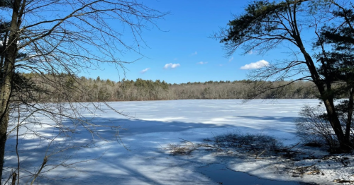 A frozen lake surrounded by trees under a clear blue sky with a few clouds.