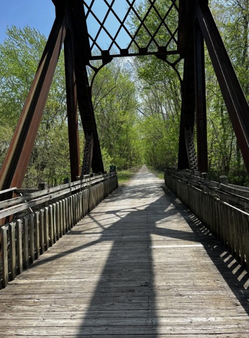 A wooden bridge with a metal arch, surrounded by lush greenery and casting shadows on the path below.