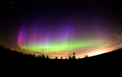 Vibrant auroras illuminate the night sky with shades of purple and green over a dark landscape. Stars twinkle above.