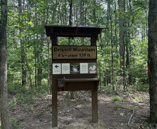 Sign for Driskill Mountain, elevation 535 ft, surrounded by dense trees in a forested area.