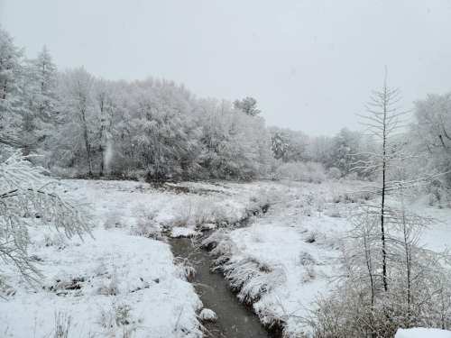 A snowy landscape with a creek running through a forest of snow-covered trees.