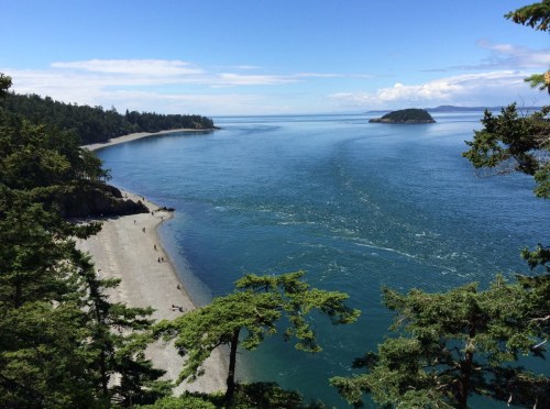 A scenic view of a calm blue bay surrounded by trees, with a sandy beach and a small island in the distance.