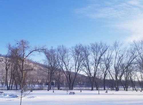 A snowy landscape with bare trees and a clear blue sky, featuring a picnic table in the foreground.