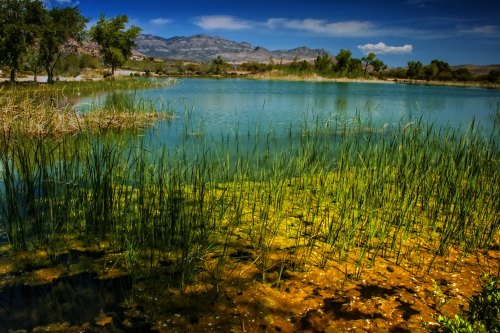 A serene pond surrounded by lush greenery and mountains under a clear blue sky.