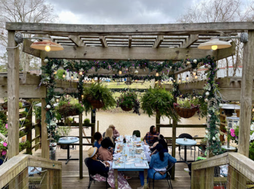 A group of people dining at a decorated outdoor table under a wooden pergola with hanging plants.