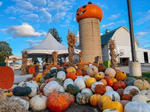 A farm scene with a large pumpkin atop a silo, surrounded by various pumpkins and a white tent in the background.