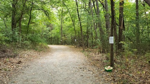 A gravel path winding through a lush green forest with trees and signs along the trail.