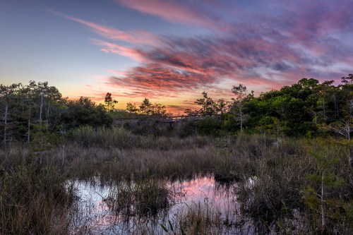 A serene wetland at sunset, with colorful clouds reflecting in the water and lush greenery surrounding the scene.