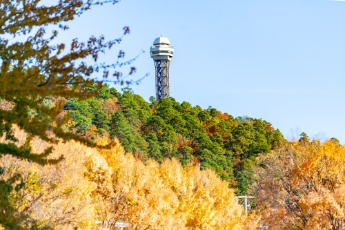 A tall observation tower atop a green hill, surrounded by vibrant autumn foliage under a clear blue sky.