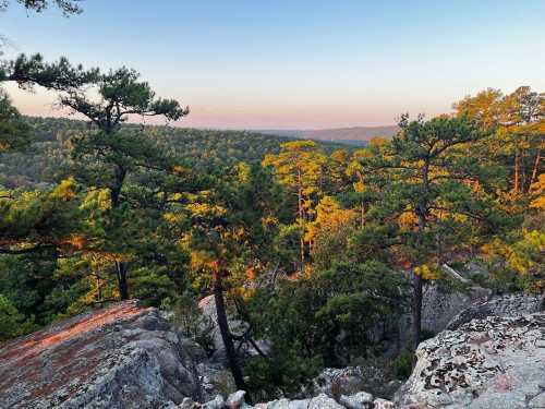 A scenic view of a forested landscape with tall trees and rocky outcrops under a clear sky at sunset.