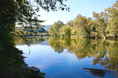 A serene river scene with trees reflecting on the calm water under a clear blue sky.