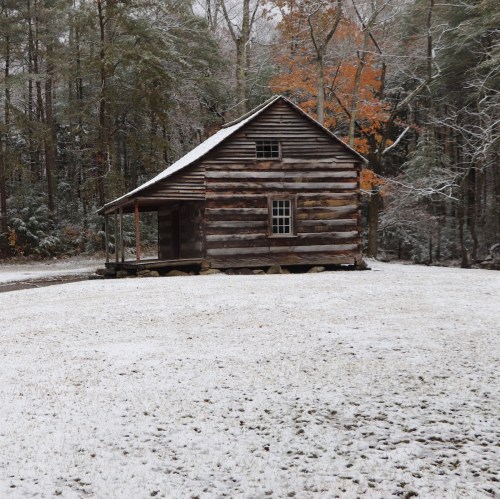 A rustic wooden cabin surrounded by snow and autumn trees in a serene forest setting.