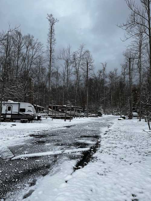 A snowy landscape with bare trees, a gravel path, and parked RVs under a cloudy sky.