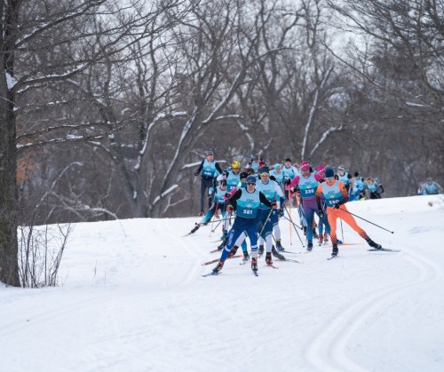 A group of cross-country skiers in colorful outfits racing through a snowy landscape with bare trees.