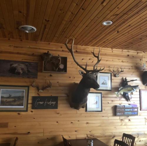 Interior of a rustic restaurant featuring wooden walls, animal mounts, and framed wildlife photos.