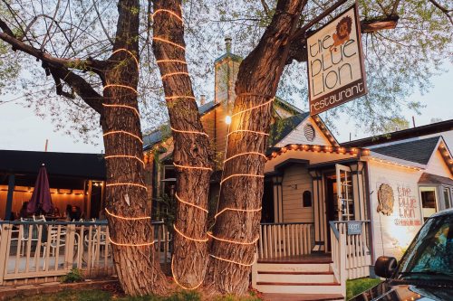 A cozy restaurant called "The Blue Lion," featuring trees wrapped in lights and a welcoming outdoor seating area.